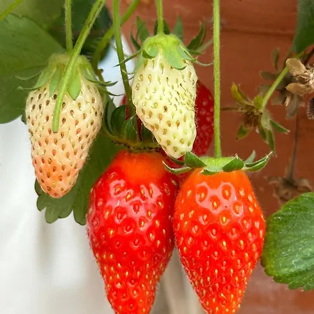 Maria Mix Dorm By Host-point Costa de Caparica